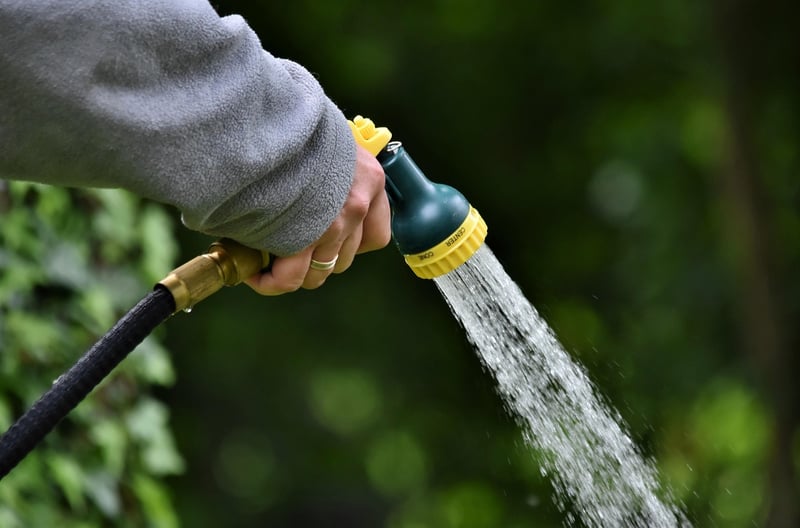 watering can